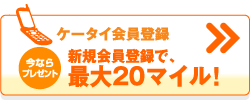 �P�[�^�C����o�^