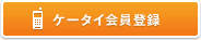 �P�[�^�C����o�^