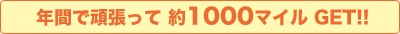 年間で頑張って約1000マイルGET!
