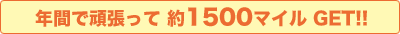 年間で頑張って約1500マイルGET!